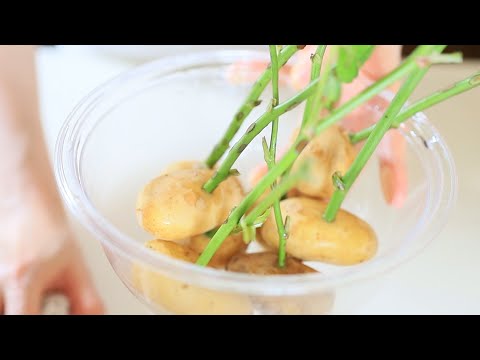 バラの茎をジャガイモに植える