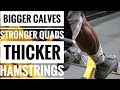 Build Some Strong & MASSIVE LEGS | DAY 3 - WEEK 1