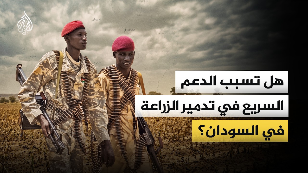 بين التدمير والاستعادة.. كيف تحولت الزراعة في السودان إلى "ورقة حرب"؟