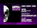 Goteki - Under Desert Stars