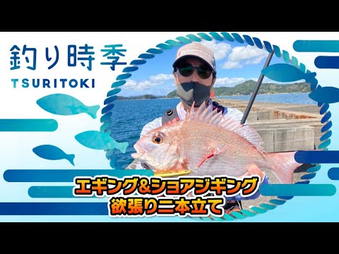 欲張り2本立て!!エギング&ショアジギング（釣り時季/2021年11月14日放送）