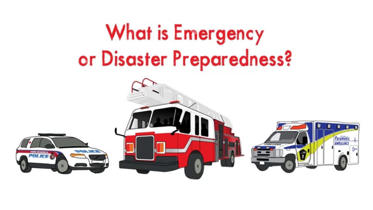 What is emergency or disaster preparedness?