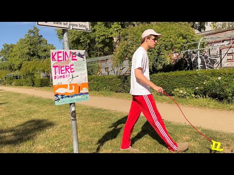 Northern Lite - Black Dog (Thomas Lizzara Remix) Video