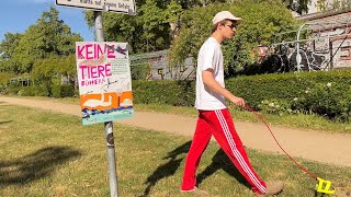 YouTube Thumbnail