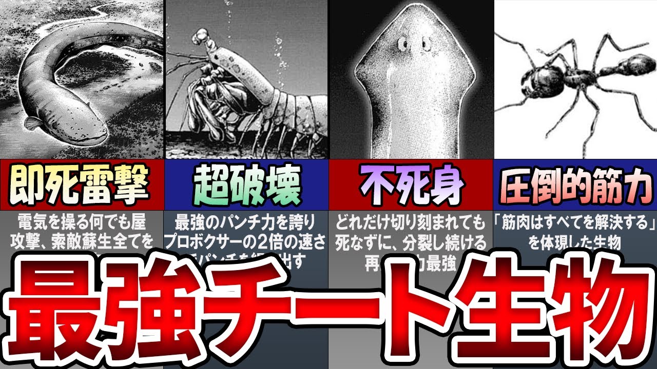 【テラフォーマーズ】まさにチート！最強過ぎた手術ベース６選！【TERRAFORMARS】