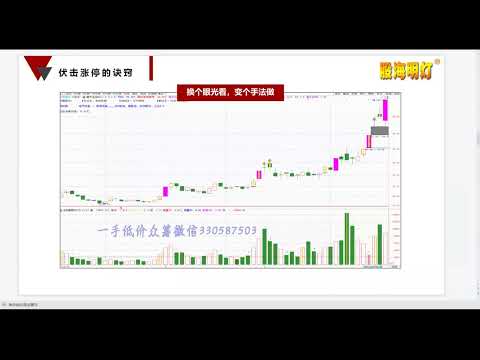 量学李亚民05段 40讲：伏击涨停的窍门 跟着规律走