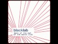 Black Lab - Kick 