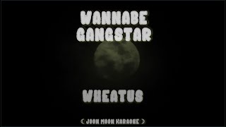 Wannabe Gangstar - Wheatus | Karaoke Instrumental • Lyrics
