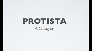 Protista