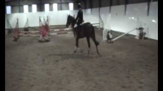 preview picture of video 'Dom & Sky Walk Showjumping'