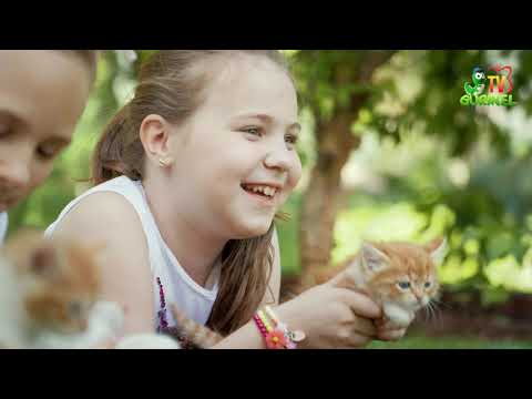 Bianca Harabadjiu, Carolina Iacob, Bianca Oanța (Picături Muzicale) – Vara mea 4K