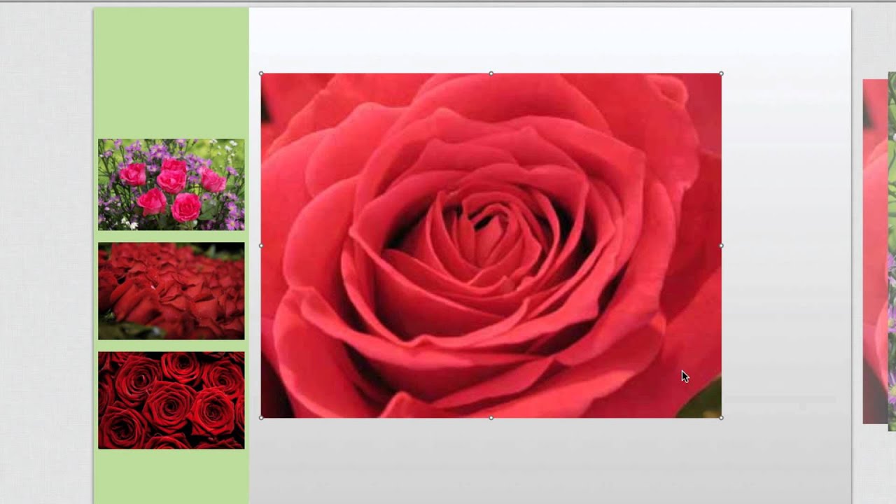 Creating a Picture Gallery in HTML5 Using Tumult Hype