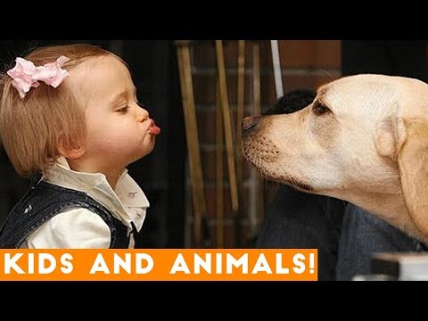 Can You Handle These Endearingly Funny Kids and Animals?