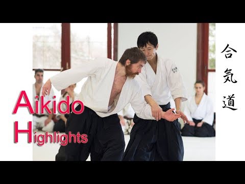 Dynamic Aikido Highlights in Hungary ｰ Shirakawa Ryuji shinan