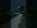 Chalne Lagi Hai Hawayein ️ ️ WhatsApp Status Nature Lover Song