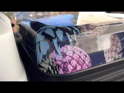 How much luggage will fit in your SportRack Vista XL?
