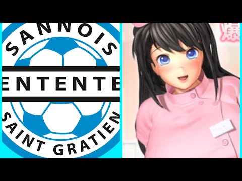 Entente Sannois Saint Gratien 🇫🇷