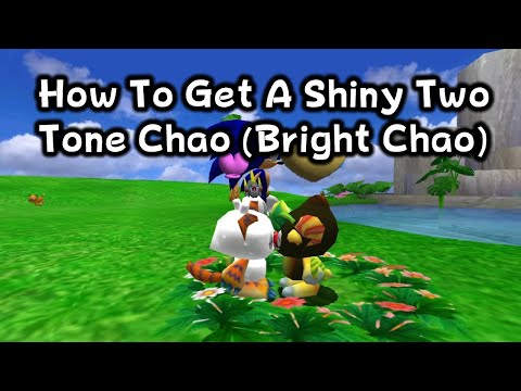 How To Get A Shiny Two Tone Chao (Bright Chao)