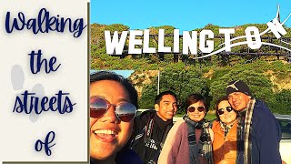 #NZSeries #Vloggermum - Wellington