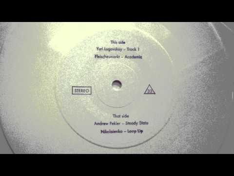 Various "Test Pressing": B2 - Fleischesmarkt - Academic (7", 2012)