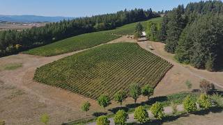 Organic Wine in Oregon | Lemelson Vineyards