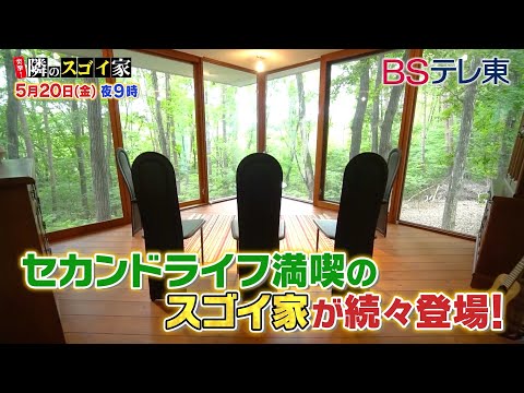 テラスに隠れるためにつる性の植物を植える