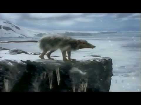 Once Upon Australia TLC ★ Prehistoric Channel HD