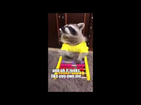 Funniest Animal Voiceovers - Ep. 8