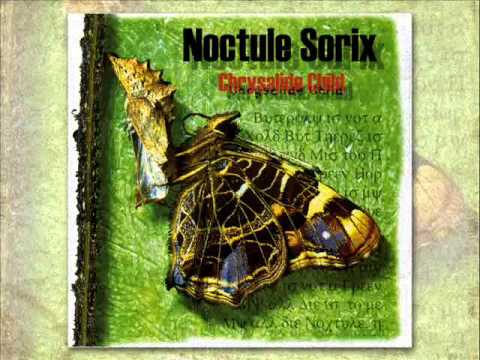 Noctule Sorix - Regrets (Inachis io)