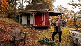 Alone in the Woods Building an Off Grid Shed To House