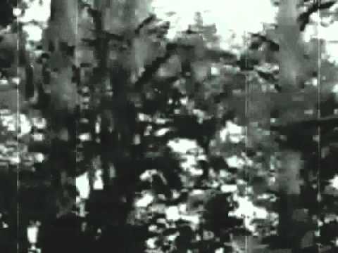 Beyond Ye Grave - "Burning Blood"