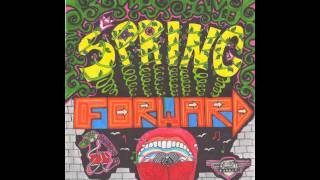 Pigeons Playing Ping Pong - Couldn't We All