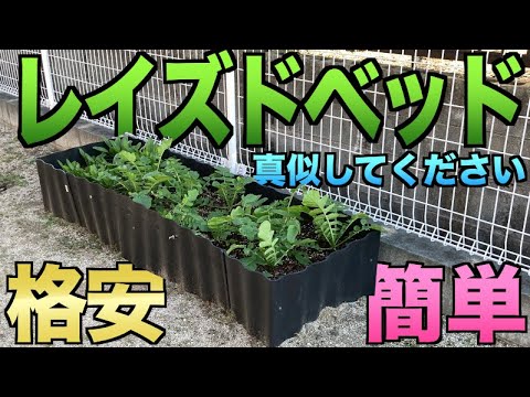 なぜレイズドベッドガーデニングを実践するのか スタンディングベッドの作り方と利点は何ですか