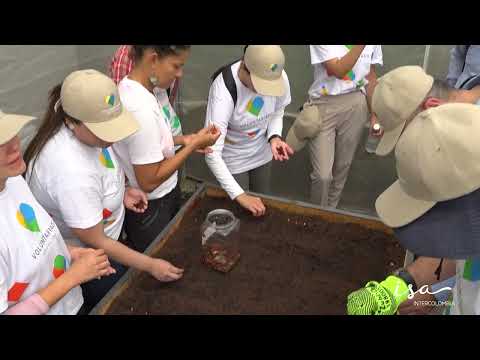 Resumen de la sembratón en Liborina, Antioquia