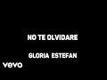 Gloria Estefan - No Te Olvidare (Karaoke)