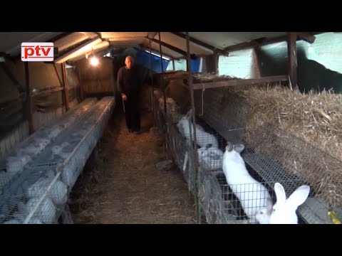 ''Ovo je hobi uzgoj i proizvodnja koji lako mogu postati pravi posao, samo da je bolja potražnja!''