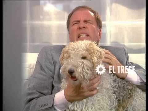 Son amores - Capítulo 373