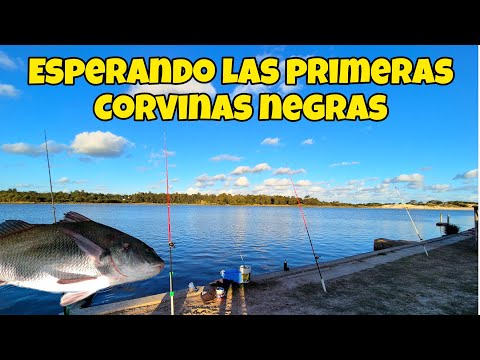 ESPERANDO LAS PRIMERAS, PESCA DE CORVINA NEGRA EN URUGUAY, ARROYO SOLIS CHICO, PARQUE DEL PLATA
