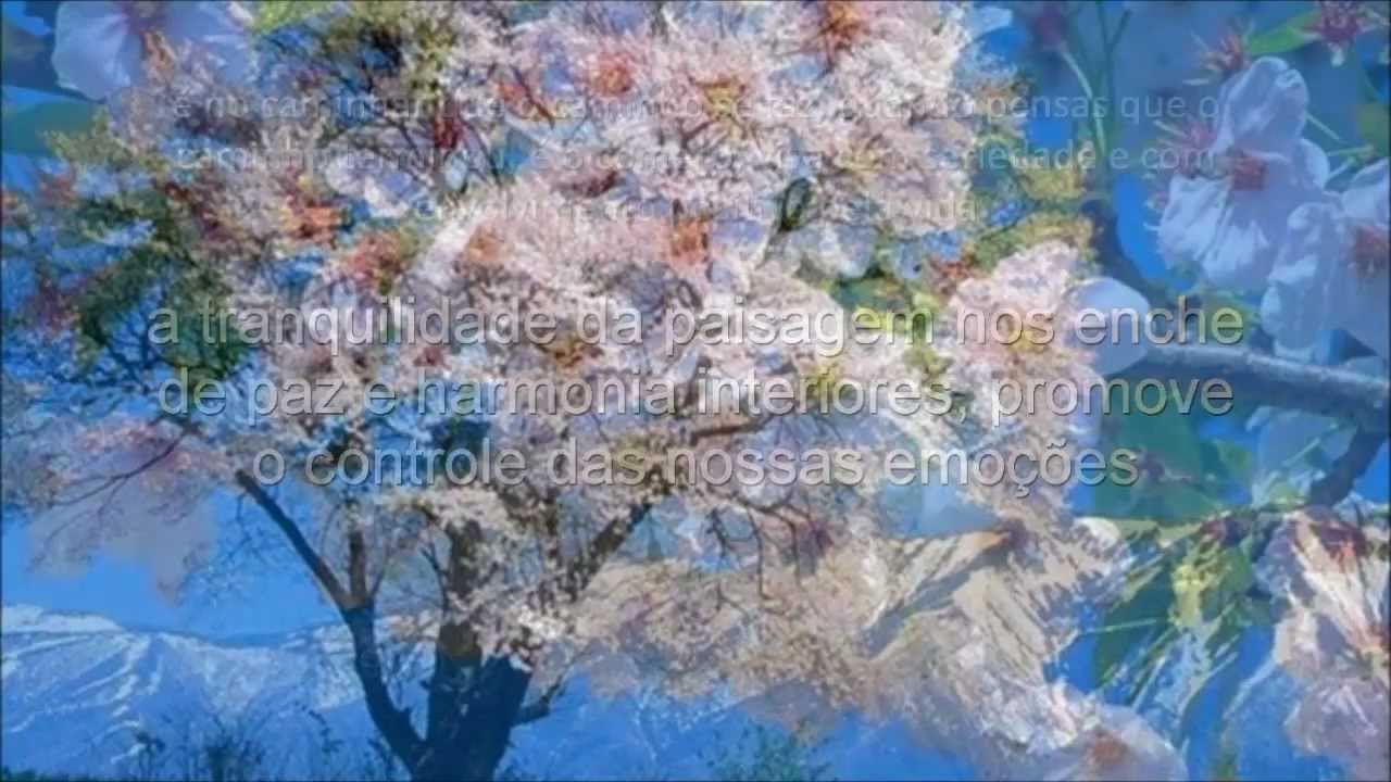 AS EMOÇÕES- de Joana de Angelis -Psicografia de Divaldo P.Franco- voz de A.CarlosAraujo