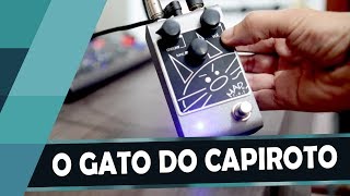 Video thumbnail for Pedal MAD CAT - O Gato do Capiroto!! - Review by Ozielzinho