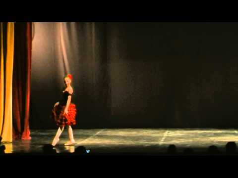 Abrudan Miriam - FIBS Sighisoara 2014