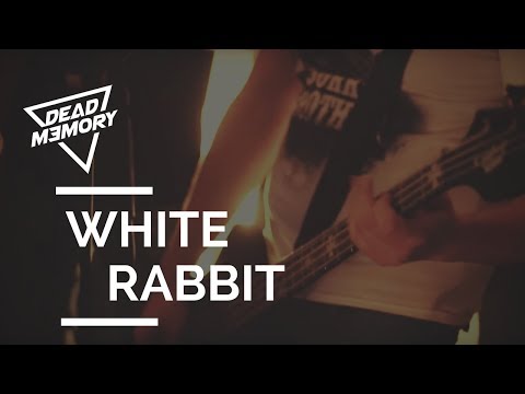 DEAD MEMORY - White Rabbit (OFFICIAL VIDEO)