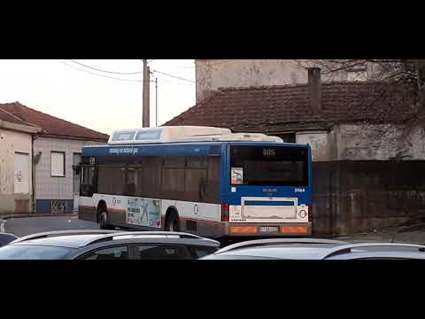 STCP NO Linha 805 Veículo 3144
