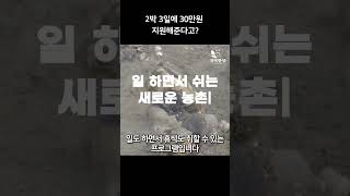 2박 3일에 여행에 30만원 지원해준다고?