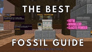 The BEST Fossil Guide | Hypixel Skyblock