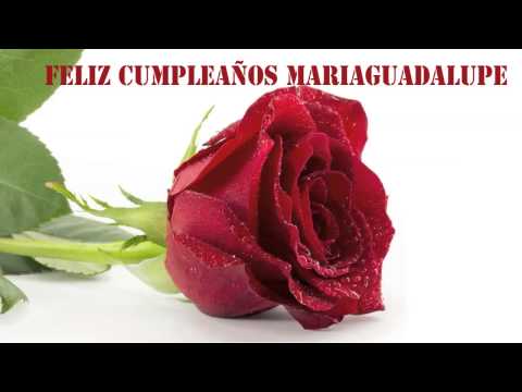 MariaGuadalupe   Flowers & Flores - Happy Birthday
