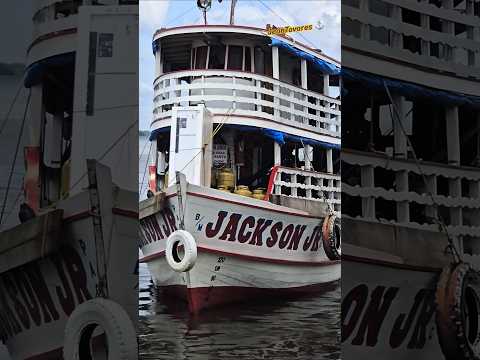 B/M JACKSON JR - Saindo de ORIXIMINÁ para Terra Santa