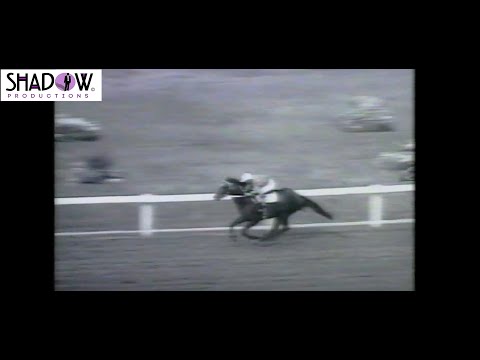 1970 Golden Slipper Baguette