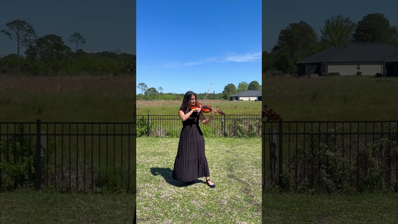Promotional video thumbnail 3 for One Note at a Time Violinist