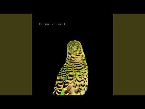 Plasticities video